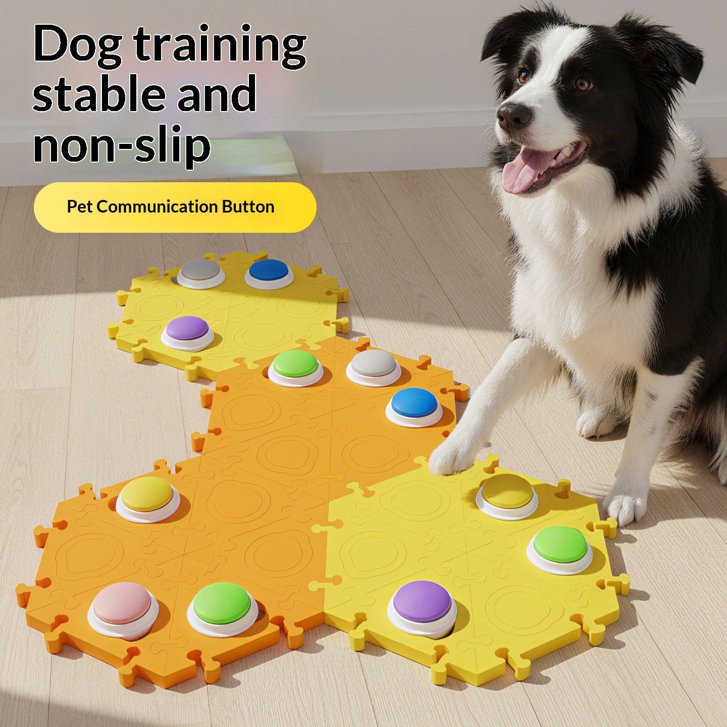 Dog Talking Buttons — Sound-Recording Communication Toy