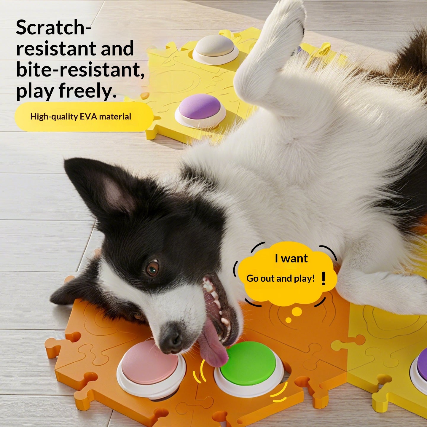 Dog Talking Buttons — Sound-Recording Communication Toy