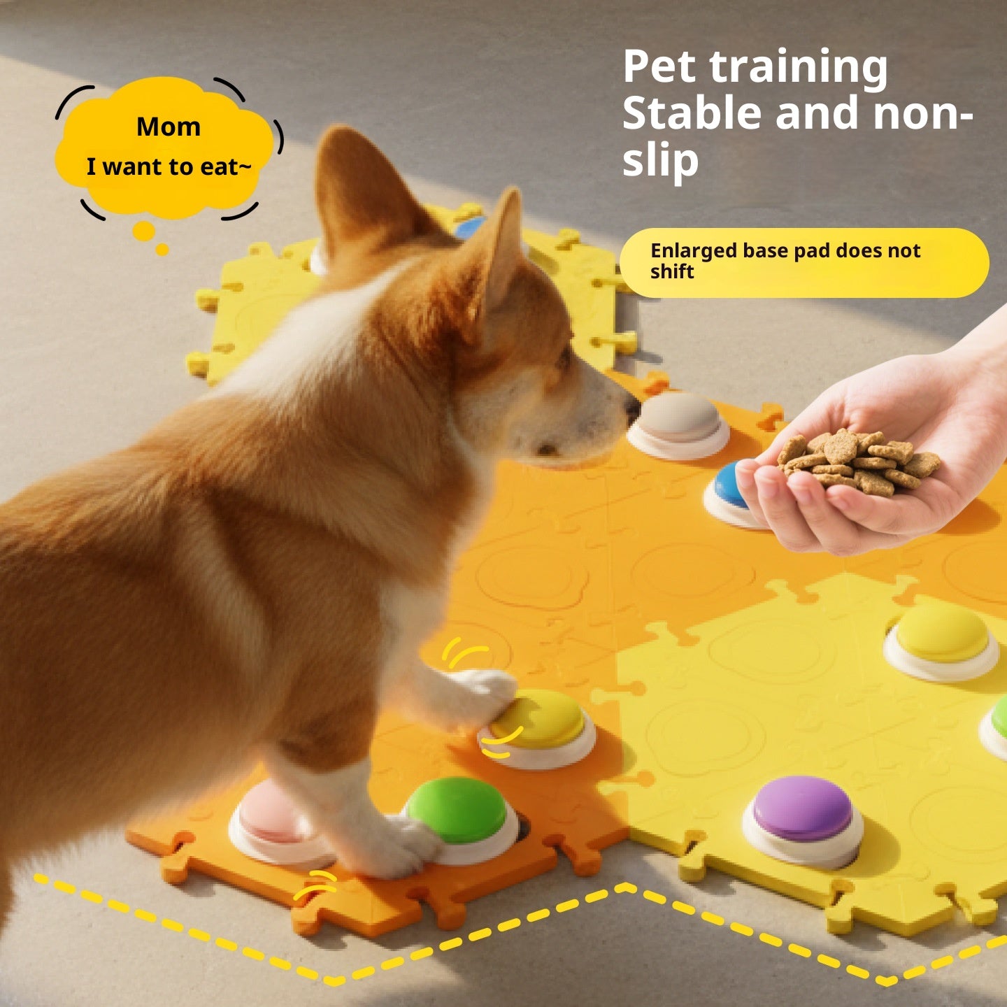 Dog Talking Buttons — Sound-Recording Communication Toy