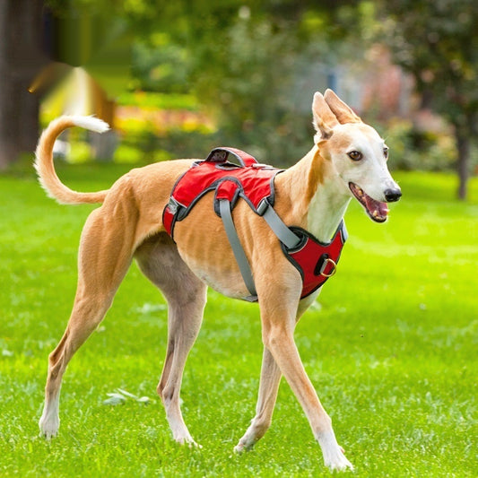 No-Pull Dog Vest Harness — Adjustable for Medium & Large Dogs, Reflective
